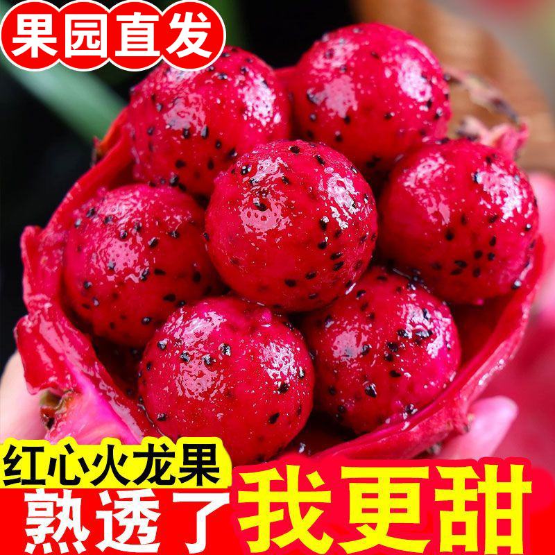 红肉火龙果现摘整箱当季水果蜜果整箱包邮