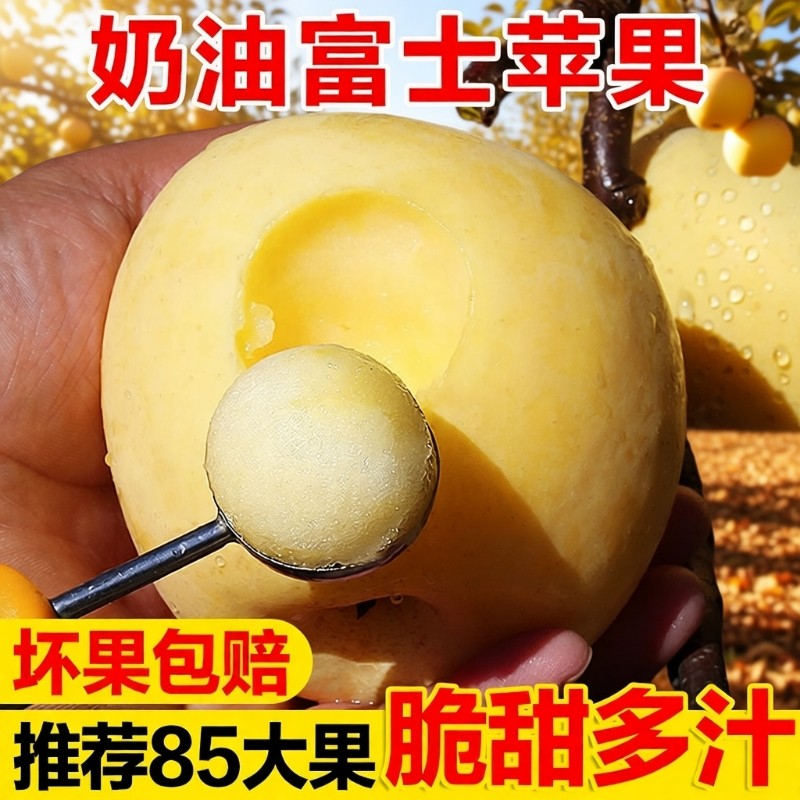 黄金奶油富士苹果山东烟台栖霞白色冰糖心新鲜水果牛奶5当季整箱,水产肉类/新鲜蔬果/熟食,苹果,淘宝优惠券,粉丝福利购,淘宝优惠卷