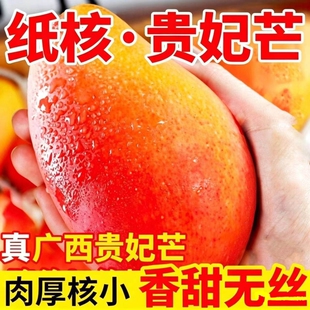 正宗广西百色贵妃芒新鲜孕妇水果当季整箱红金龙薄皮芒果