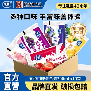 银桥草莓牛奶饮品葡萄白桃蓝莓菠萝袋装酸奶含乳饮料生牛乳早餐