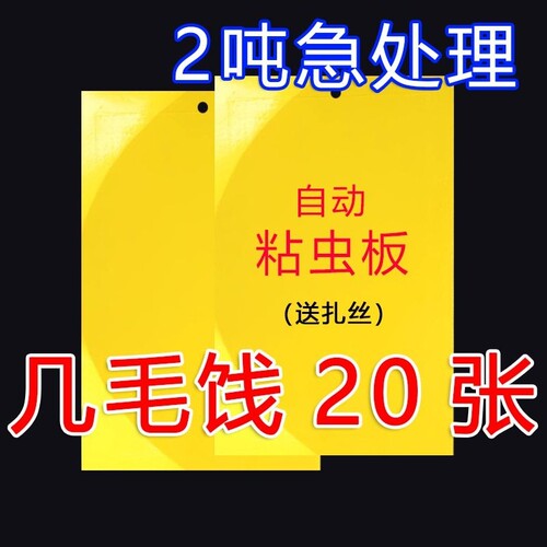 小黑飞果蝇专用粘虫板
