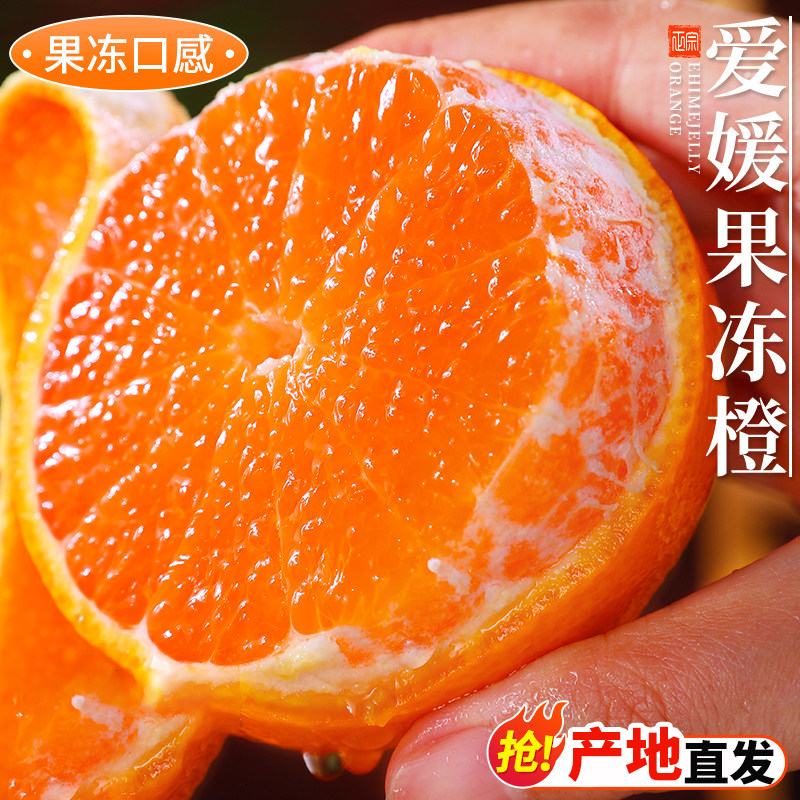 四川眉山爱媛38号果冻橙手剥橙子