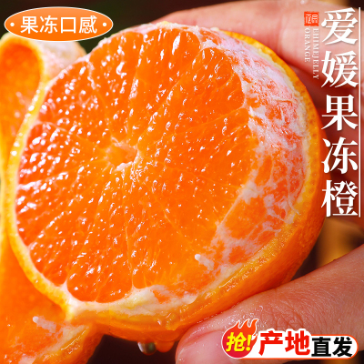 四川眉山爱媛38号果冻橙手剥橙子