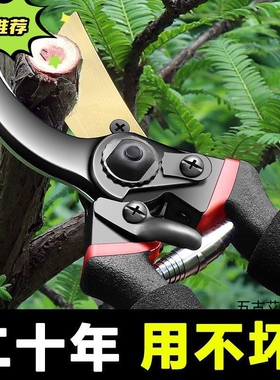 剪刀强力修枝剪刀树枝修剪园林花枝剪子园艺粗枝剪枝花卉高硬度