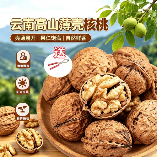 有机核桃果2026新货原味生无添加
