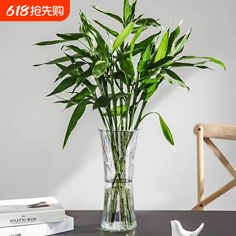 特大号玻璃花瓶透明水养富贵竹办公餐桌客厅家用插干花瓶装饰摆件