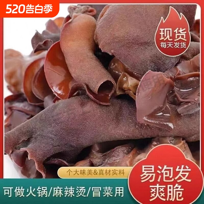 毛木耳干货餐饮火锅食脆木耳农家特产黑木耳凉拌长白山麻辣烫泡发