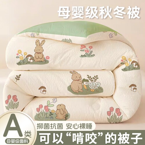 四季通用大豆加厚棉被