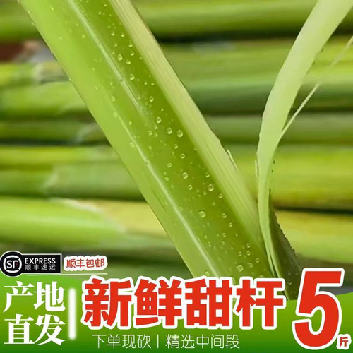 顺丰冷链新鲜甜杆5斤甜芦粟农家现砍小甘蔗老式甜杆青皮甜高粱杆