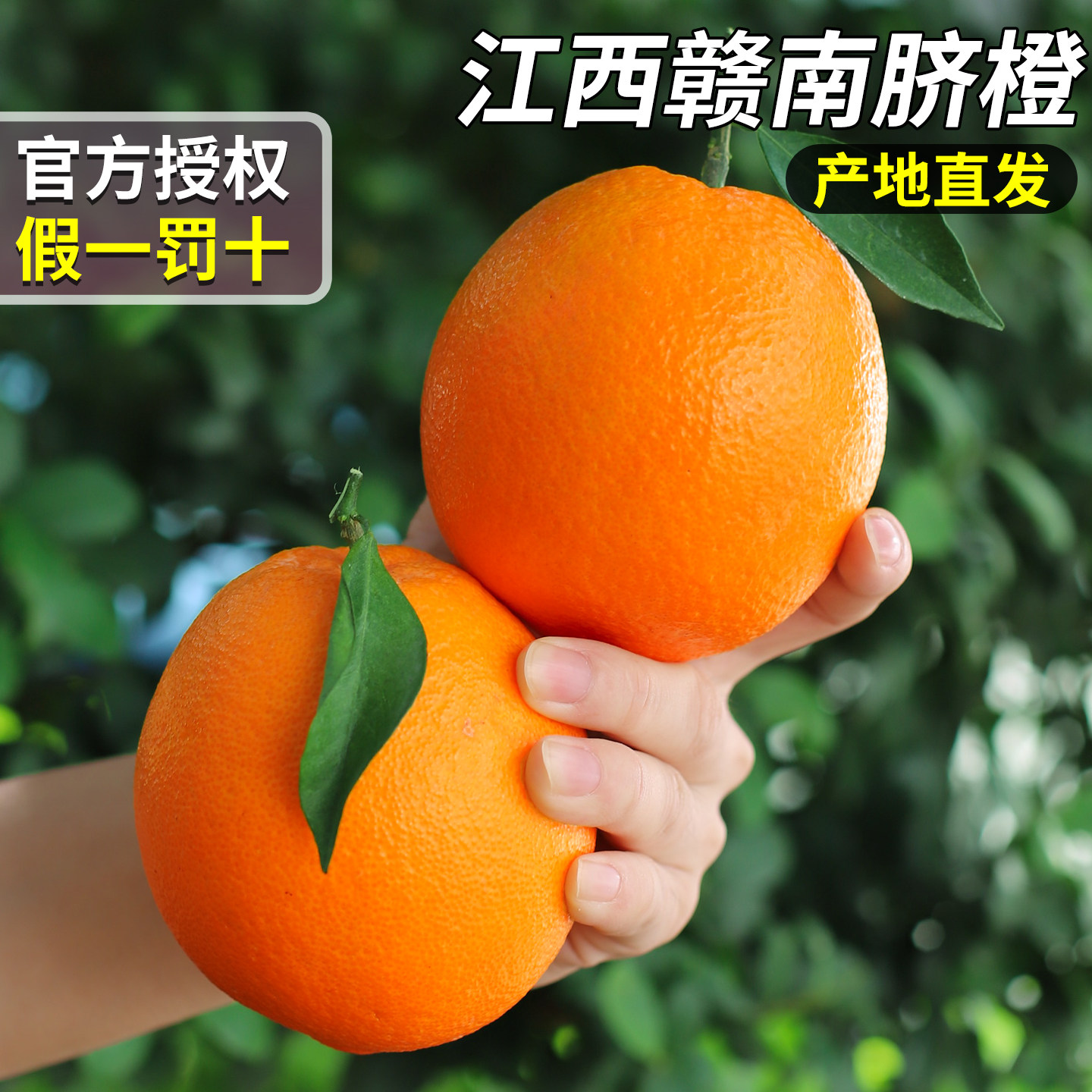 顺丰正宗江西赣南脐橙当季新鲜水果橙子赣州现摘整箱包邮送达大果