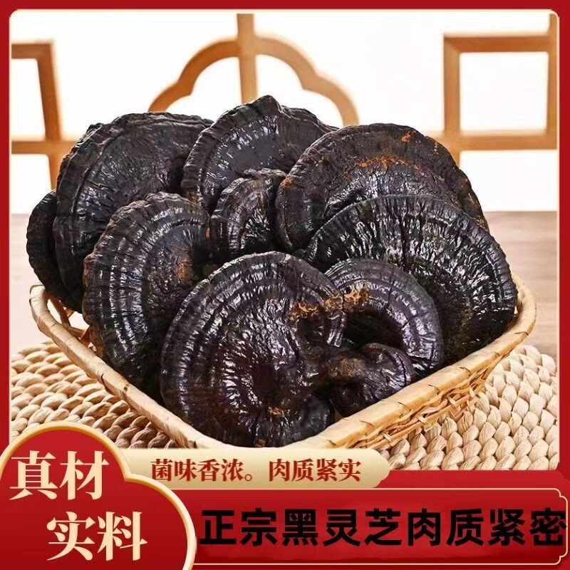 天然生长整枝云南野生灵芝云南野生黑灵芝煲汤泡酒泡茶