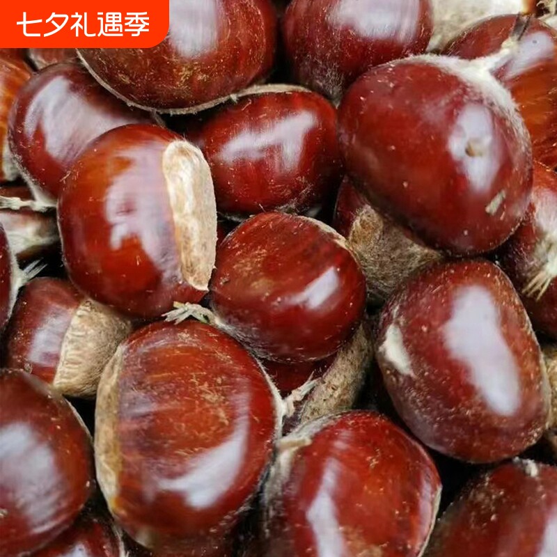 5斤迁西板栗生新鲜栗子大河北唐山野生油栗子带壳结婚熟食去皮