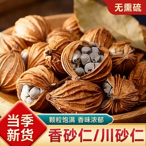 香砂仁川砂仁中药材官方旗舰店干净卤肉炖肉沙仁烧菜卤肉料家用