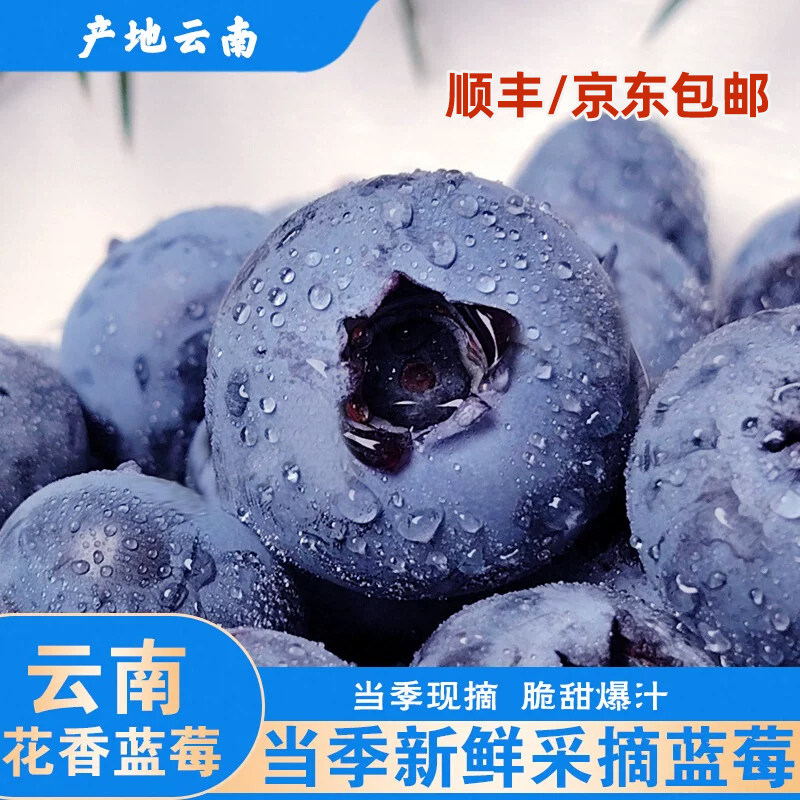 [顺丰JD]云南高山花香蓝莓脆甜可口新鲜当季水果送礼优选大果王