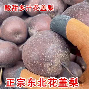 正宗花盖梨冻梨酸甜小孕妈最爱够酸东北华盖梨当季