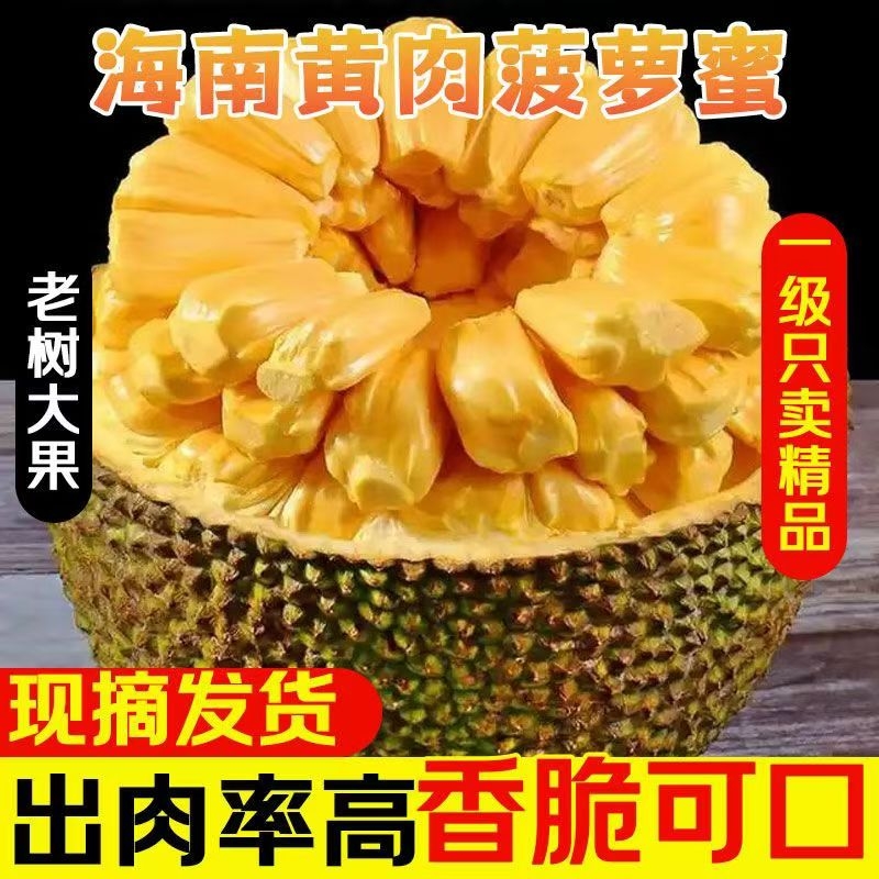 海南菠萝蜜一整个孕妇新鲜水果包邮当季干苞脆甜黄肉波罗蜜整箱红