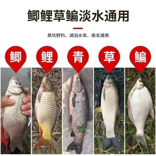 新款野钓黑坑鲫鲤鱼通用强效诱鱼