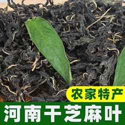 河南特产干芝麻叶芝麻叶干菜豆面条糊涂面农家当季新鲜嫩脱水蔬菜