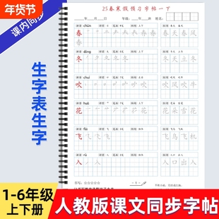 2025年人教版小学一二三四五六年级上下册语文课本同步练字帖AM款识字基础笔顺作文格练习写字帖描红硬笔书法培训教材