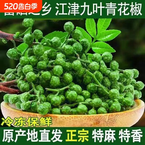 江津九叶青新鲜花椒粒餐饮专用