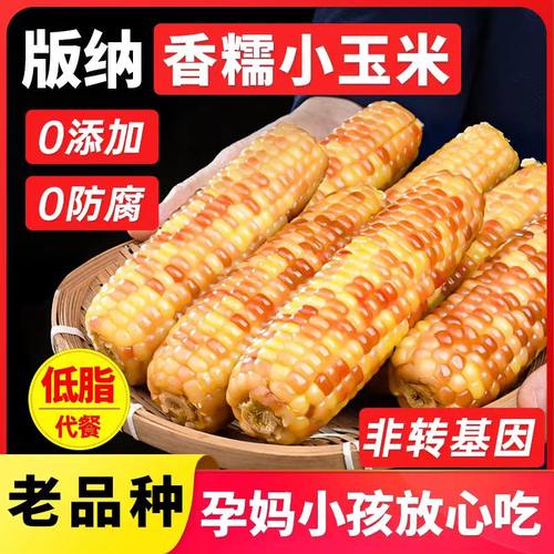 【2025年新货】西双版纳香糯小花糯真空袋装包谷玉米棒非转基因