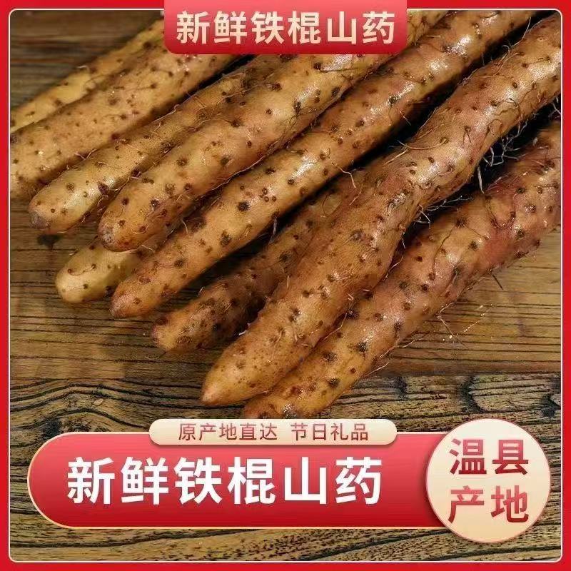 正宗河南特产焦作温县铁棍山药淮山药新鲜蔬菜精挑有药性的怀山药图片