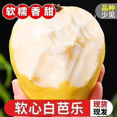 白心芭乐番石榴软糯香甜