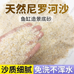 古法养鱼鱼缸造景底部砂石天然尼罗河沙化妆沙草沙净水火山石颗粒