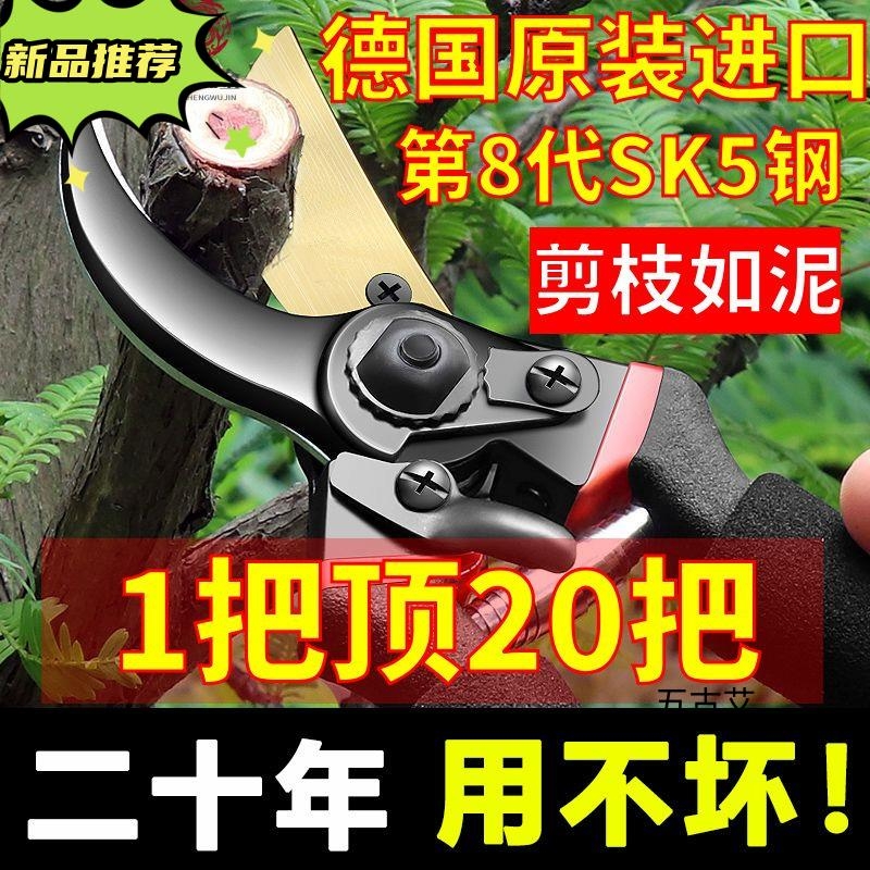 强力修枝剪刀树枝修剪园林剪子园艺SK5钢粗枝剪刀剪枝木工花卉