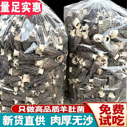高山羊肚菌云南非特级羊肚菌