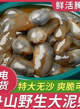 醉泥螺特大黄泥螺鲜活腌制潮汕生腌即食罐装舟山特产海鲜无沙新鲜