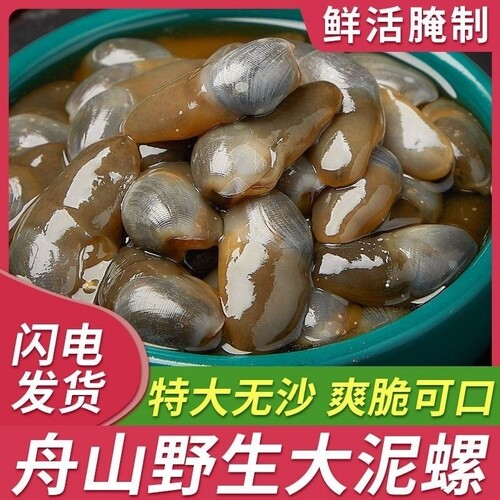 醉泥螺特大黄泥螺鲜活腌制潮汕生腌即食罐装舟山特产海鲜无沙新鲜