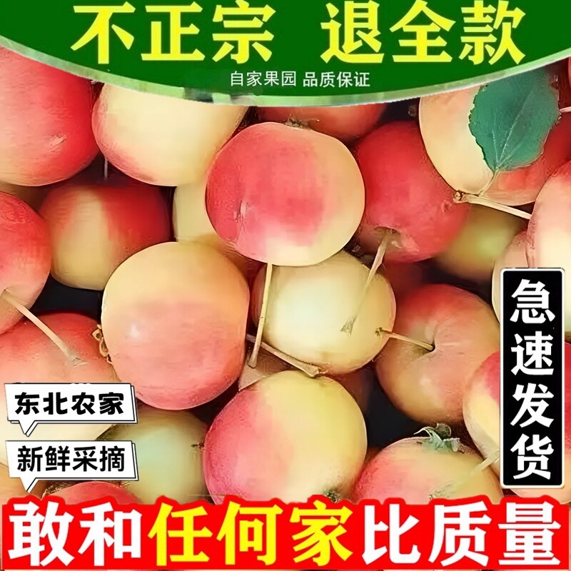 东北新鲜现摘沙果海棠果应季时令孕妇水果苹果甜酸脆爽鸡心果好吃