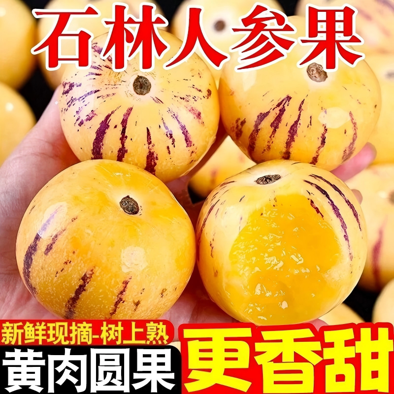 5斤云南石林人参果黄心人生果健康水果低糖黄肉新鲜批发大果现摘 - 实物图