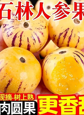 带箱5斤云南石林人参果黄心人生果健康水果低糖黄肉新鲜批发大果