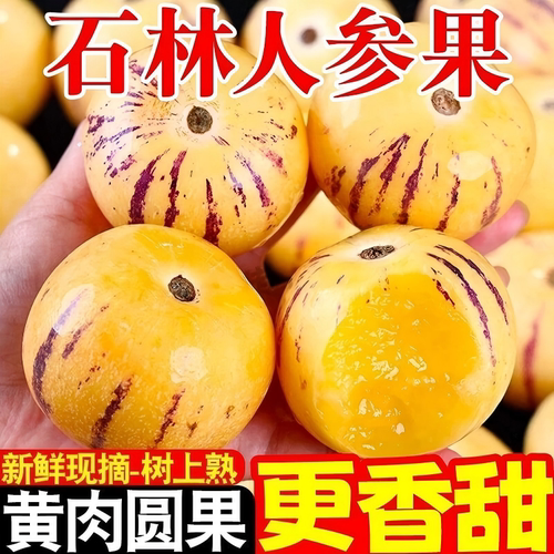 5斤云南石林人参果黄心人生果健康水果低糖黄肉新鲜批发大果现摘