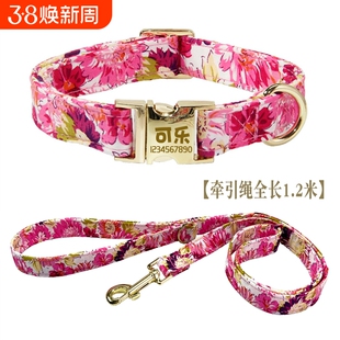 狗狗刻字项圈颈圈脖圈小泰迪牵引绳小中大型犬伸缩狗绳狗圈中型犬