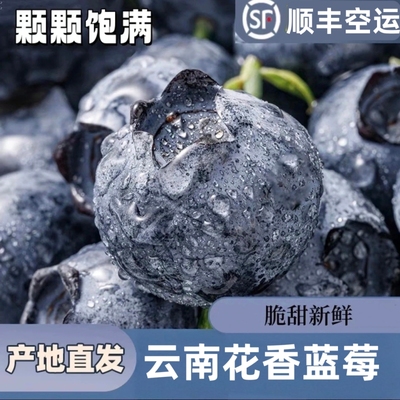 云南蓝莓鲜果高山花香新鲜水果超大果孕妇当季现采现摘顺丰空运