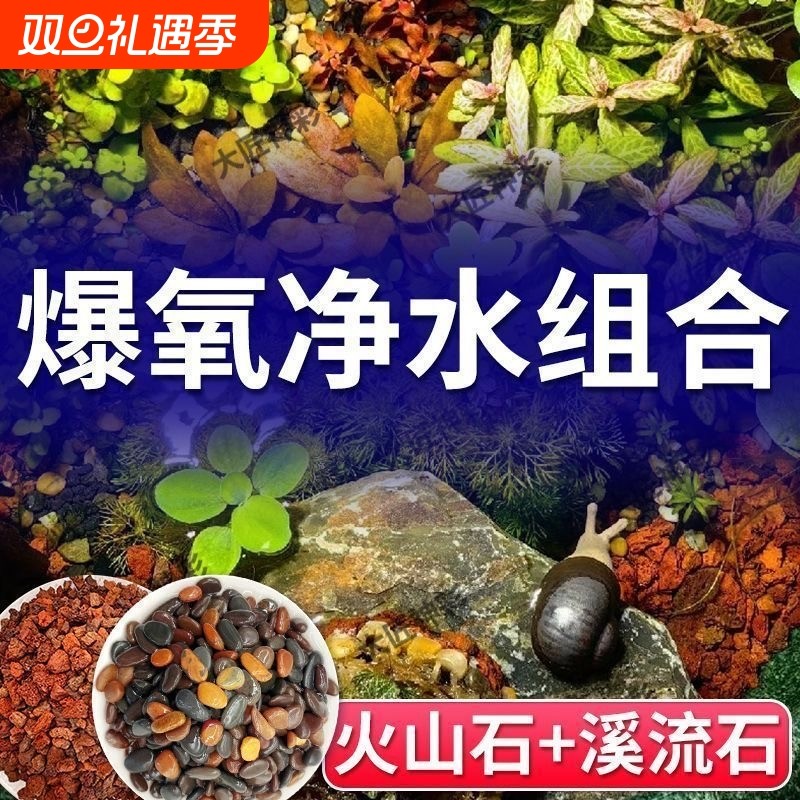 原生火山石溪流石鱼缸装饰套餐原生造景底砂铺底专用石子庭院养鱼