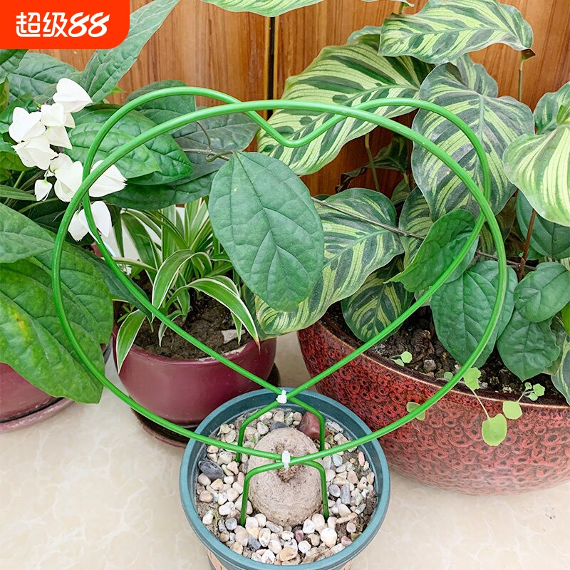 .山乌龟爬藤架龟j甲龙花架金不换花架植物花卉爱心圆形造型金属支图片