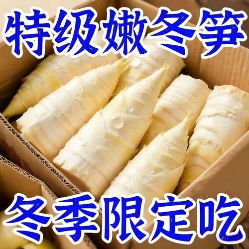 正宗江西新鲜冬笋竹笋野生春笋冬笋水煮商用批发5斤整箱装