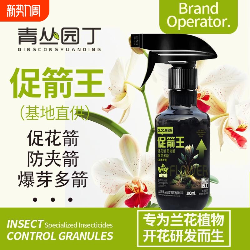 青丛园丁促箭王基地兰花开花专用蝴蝶兰促花箭防夹箭爆芽多箭