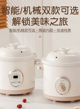 SPHE德国3.8升全自动电炖锅大容量养生煲汤炖汤紫砂陶瓷家用煮粥