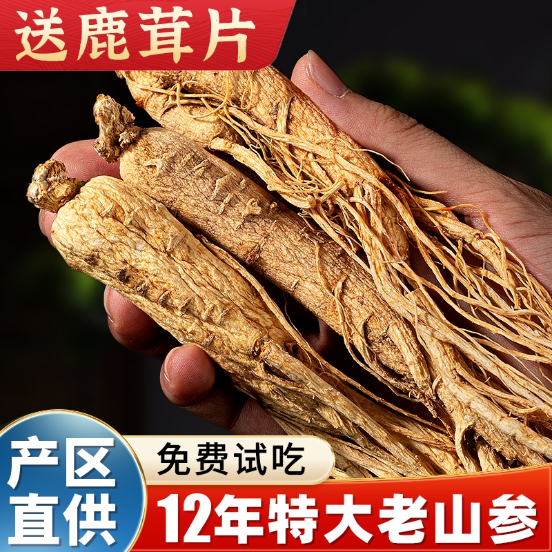 长白山泡酒人参保鲜参特大人参新鲜东北山参泡酒药材整枝泡酒专用