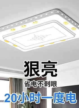 2024年新款led吸顶灯房间卧室灯客厅灯大厅现代简约大气中山灯具