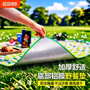 野餐垫户外防潮垫防水加厚便携徒步沙滩垫便携露营野炊草坪地垫子