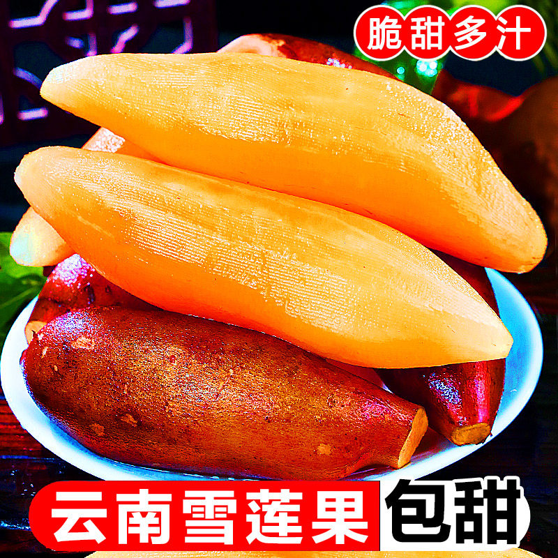 云南天山雪莲果细嫩多汁清甜脆爽新鲜水果产地直采,水产肉类/新鲜蔬果/熟食,雪莲果,淘宝优惠券,粉丝福利购,淘宝优惠卷