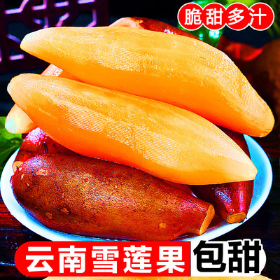 云南天山雪莲果细嫩多汁清甜脆爽新鲜水果产地直采