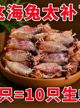 渔民新晒小海兔海兔干货干深海野生小海兔干小乌贼干小墨鱼仔精品