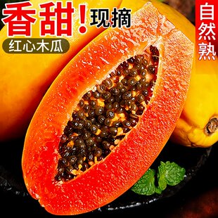 孕妇水果鲜采摘青皮木瓜自然熟 广西红心牛奶冰糖木瓜新鲜当季